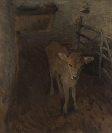 John Singer Sargent A Jersey Calf oil painting image